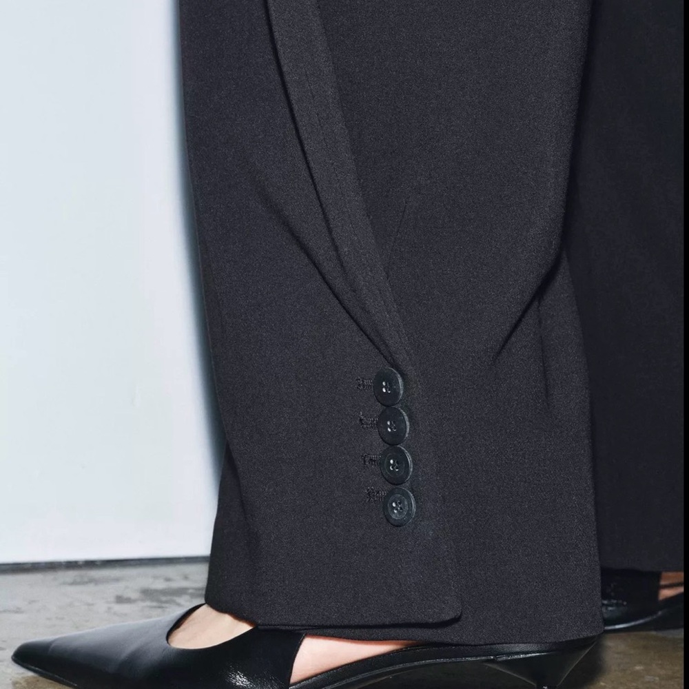 ZARA Balloon Pants wButtons ZW Collection